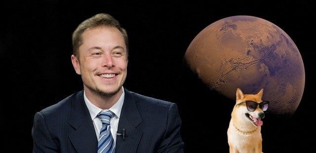 Elon Musk ja Shiba Inu koira
